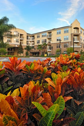 The Bartram Renovation
