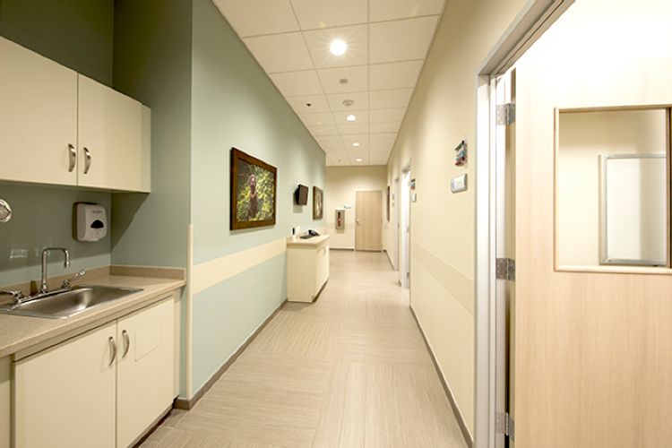 Bluepearl Specialty + Emergency Pet Hospital