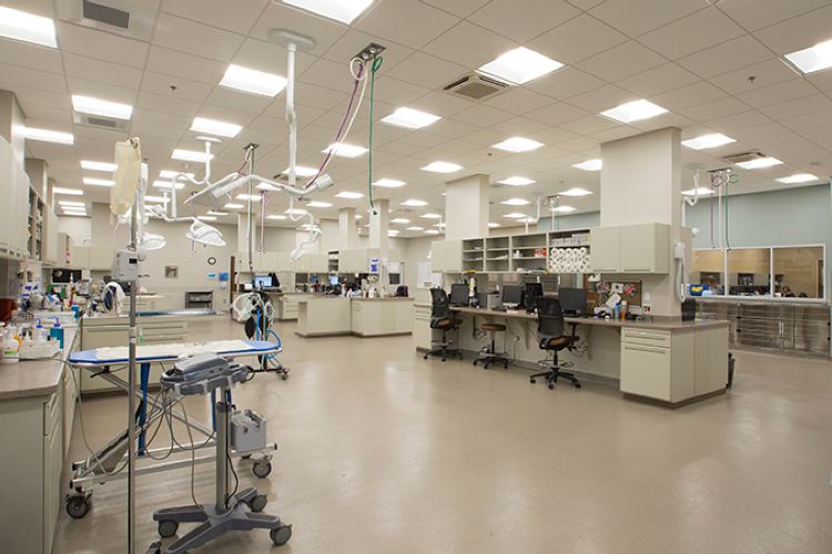 Bluepearl Specialty + Emergency Pet Hospital