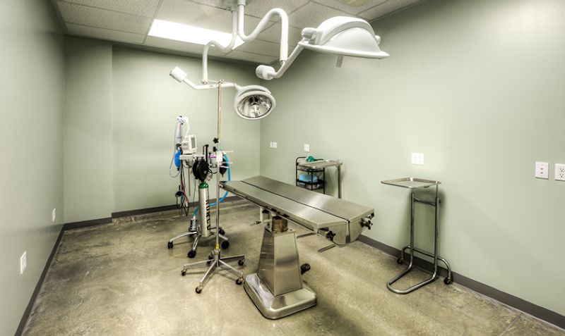 Bridge Animal Referral Center (BARC)