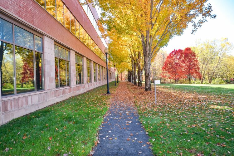 Liberty Mutual Patio Replacement