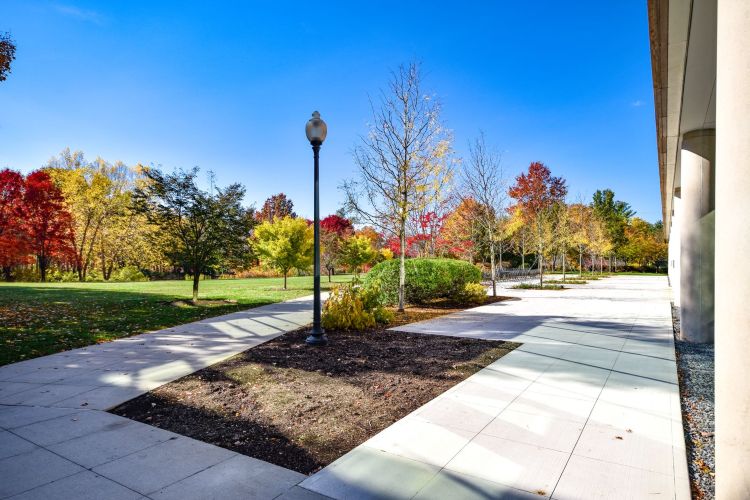 Liberty Mutual Patio Replacement