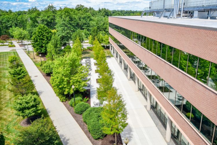 Liberty Mutual Patio Replacement