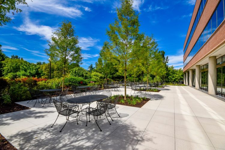 Liberty Mutual Patio Replacement