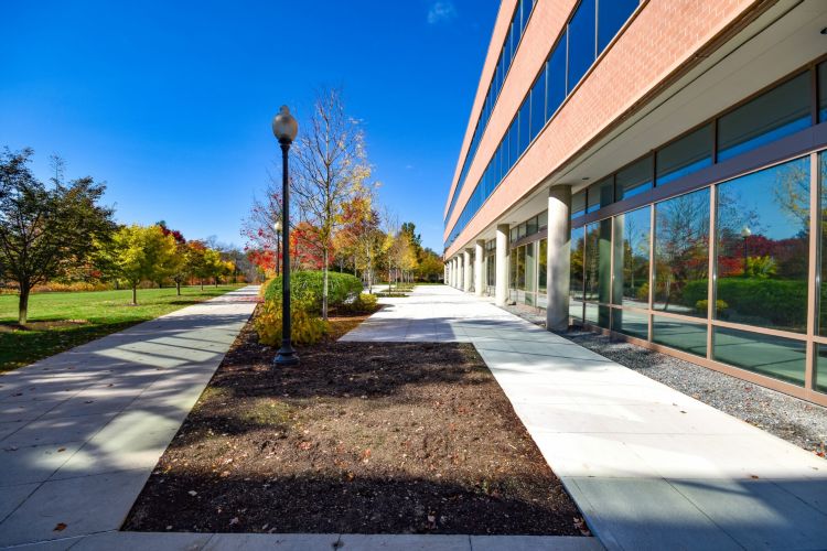 Liberty Mutual Patio Replacement