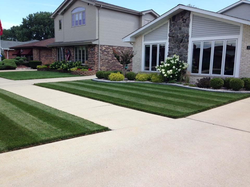 Jonathan Green Farmingdale, New Jersey ProView