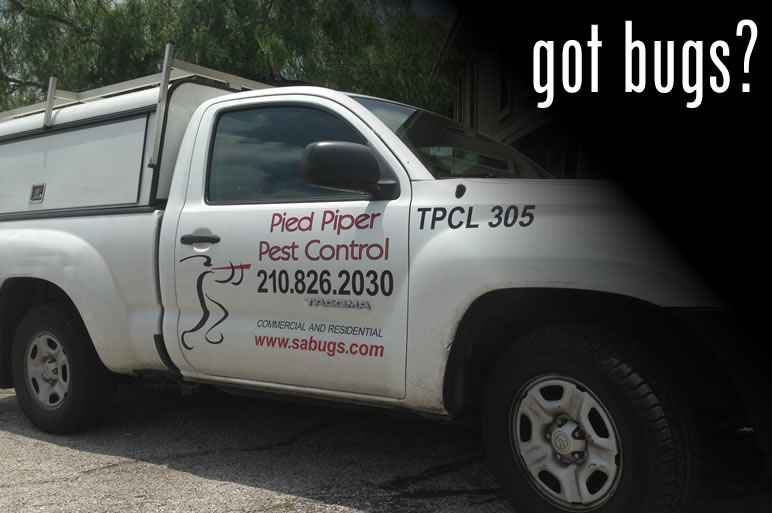 Pest Trappers  San Antonio TX