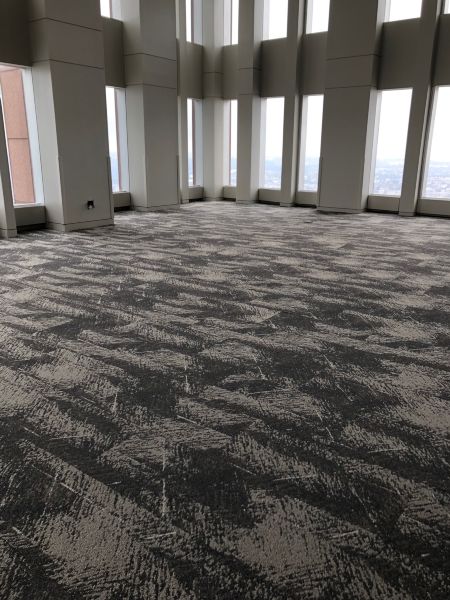 Carpet/Soft Surface