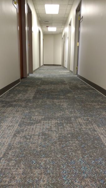 Carpet/Soft Surface