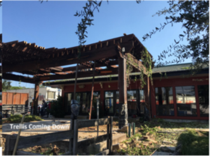 Pizzeria Testa Lower Greenvile