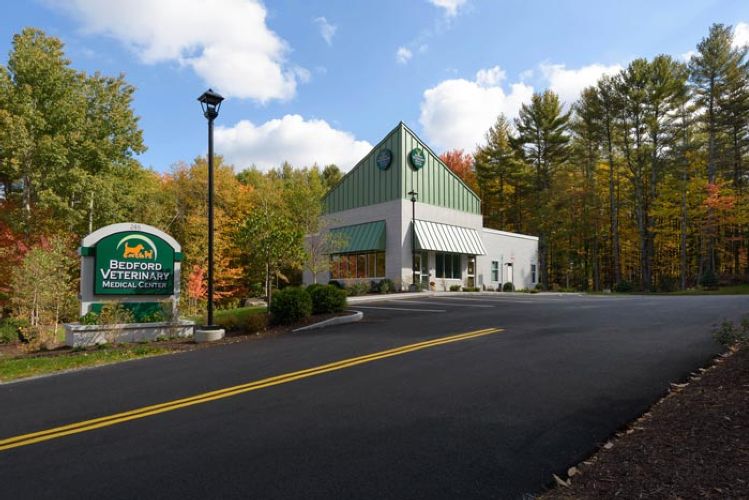 Bedford Veterinary Medical Center