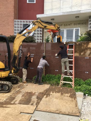 Sisters of St Dominic