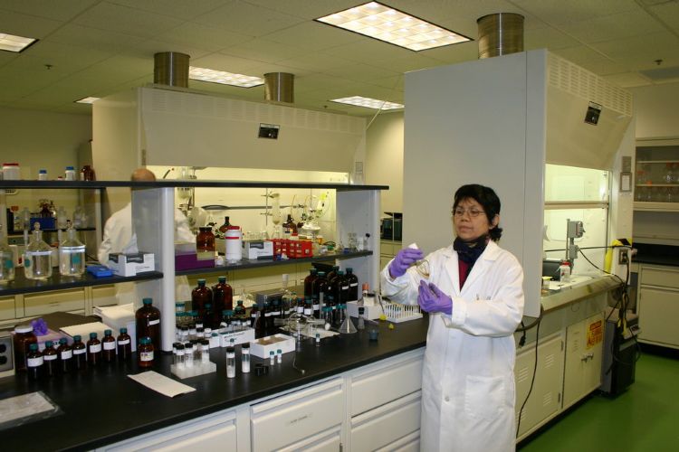 The Missner Group Construction Projects ProView