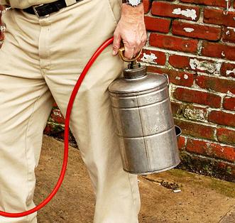 Eco-Friendly Pest Inspection