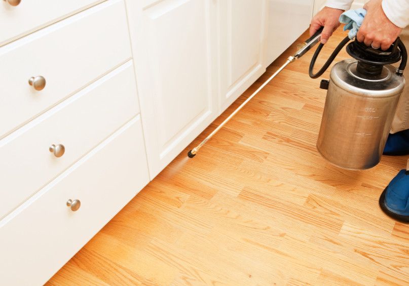 Pest Control Services 