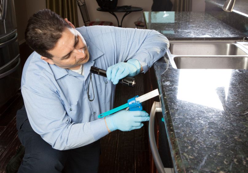 Pest Control Services 