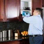 Pest Control Services 