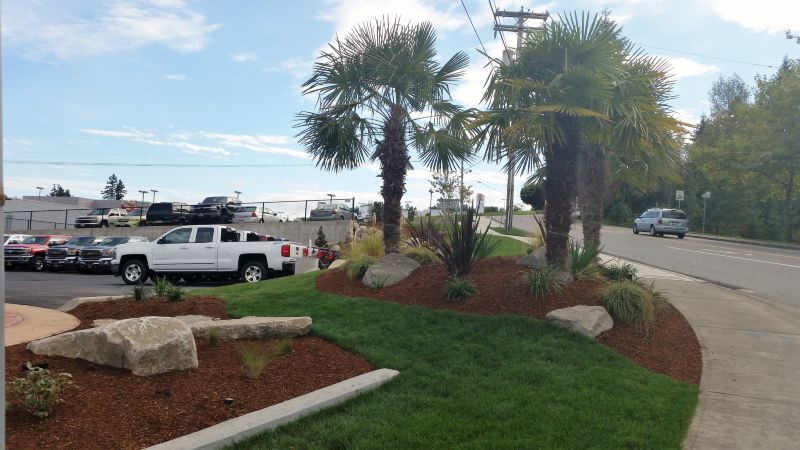 Buick dealership/Haselwood Auto