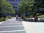 Albert Einstein College of Medicine