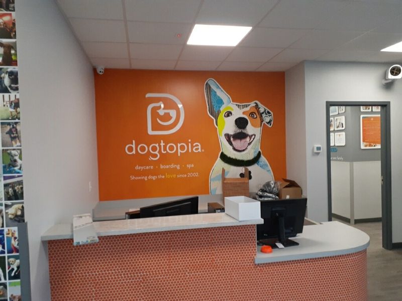 Dogtopia