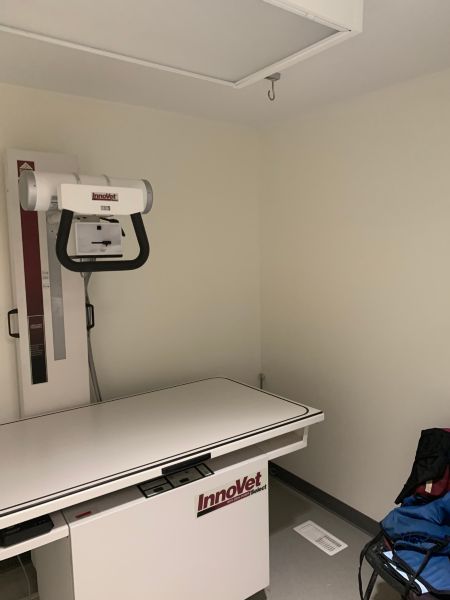 VCA Palmer Animal Hospital