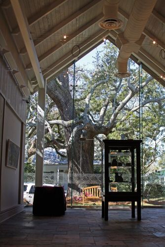 Walter Anderson Museum of Art Addition And Expansion