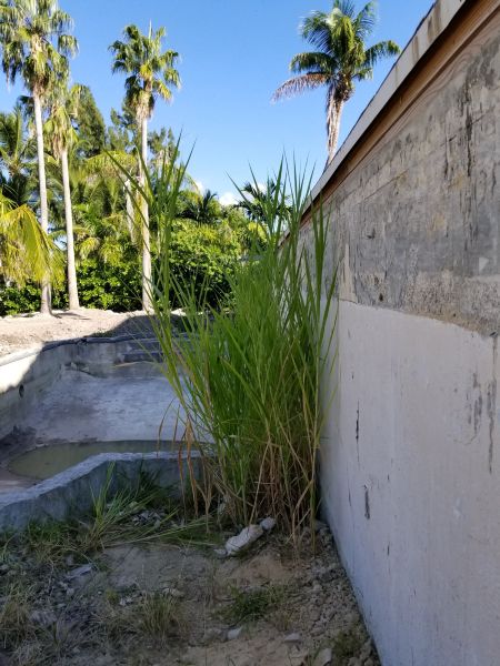 Monster House Remodel