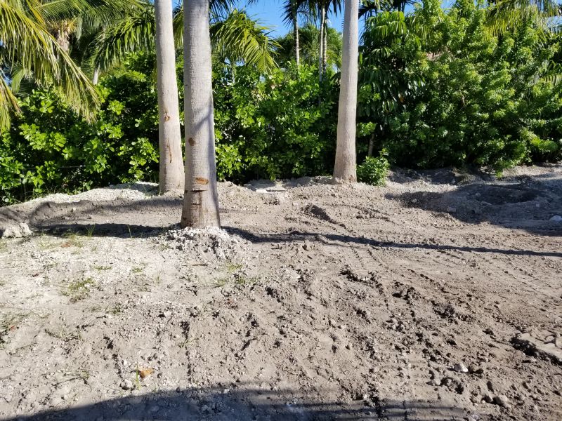 Monster House Remodel