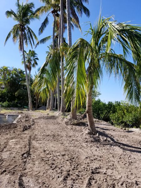 Monster House Remodel