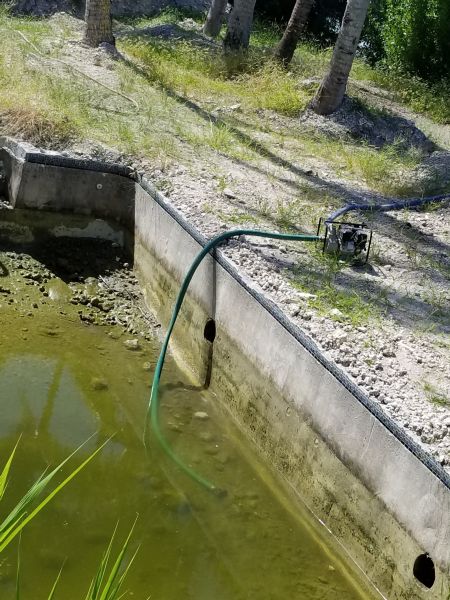 Monster House Remodel