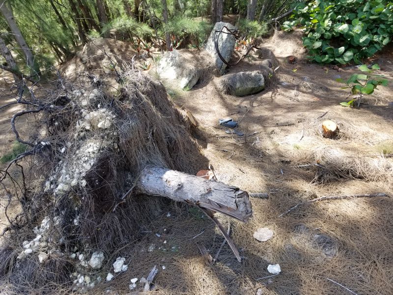 Monster House Remodel