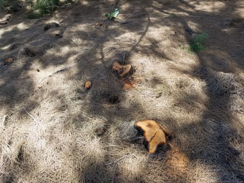 Monster House Remodel