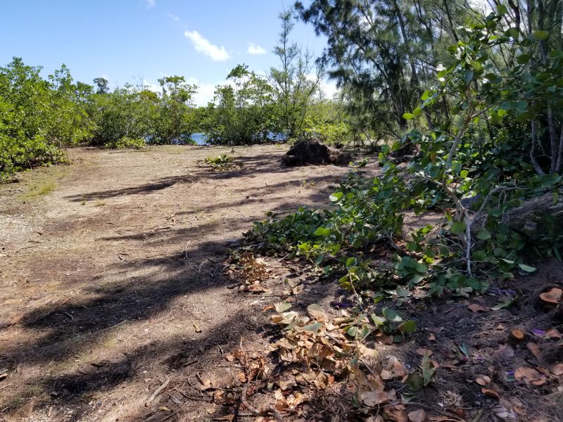 Monster House Remodel