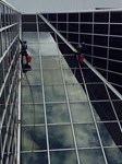 Window Washing