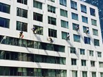 Window Washing