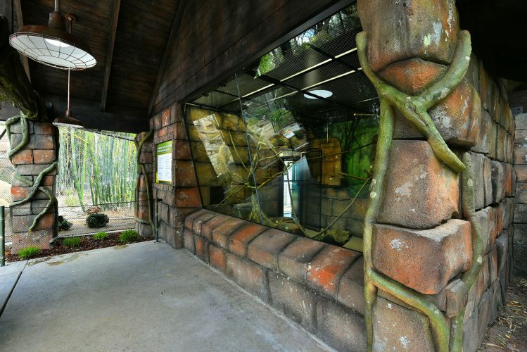 Reid Park Zoo Temple of Tiny Monkeys 