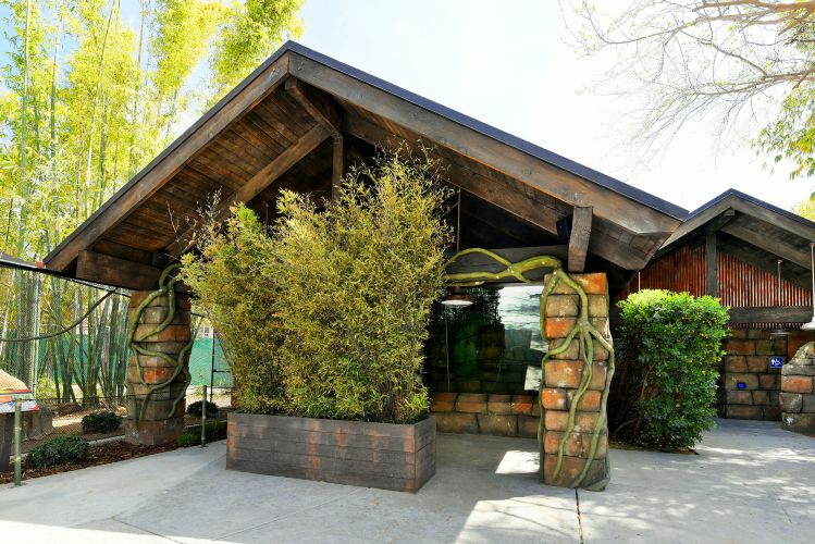 Reid Park Zoo Temple of Tiny Monkeys 