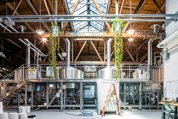 Half Acre Balmoral Brewery