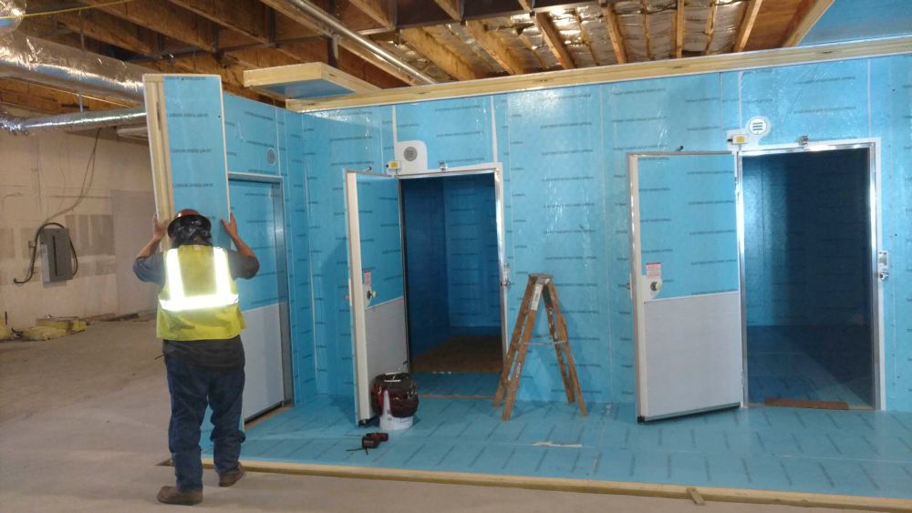 Our Services & Projects 