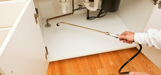 We make sure that the inside of your home is pest-free! The bugs will have nowhere to hide!