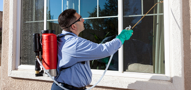 We make sure that the inside of your home is pest-free! The bugs will have nowhere to hide!