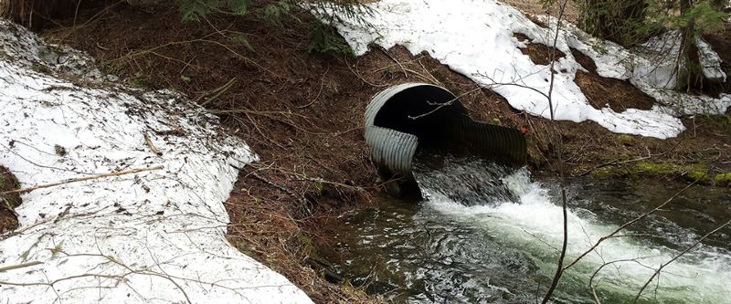 Lodge Creek Culvert Replacement