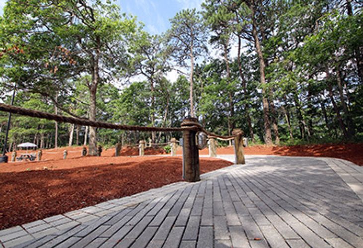 Cape Cod Chips Renovation