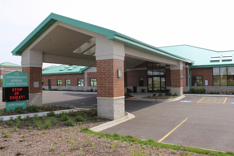Naperville South Animal Care Clinic - Naperville, Illinois