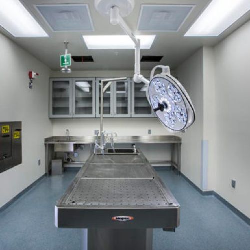 University Of Miami Neuroscience Building