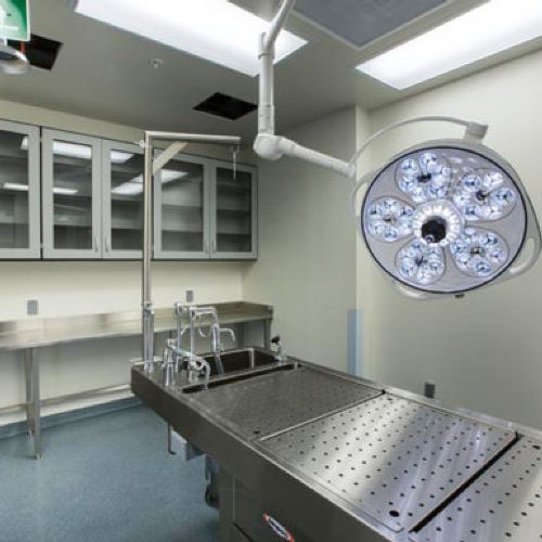 University Of Miami Neuroscience Building