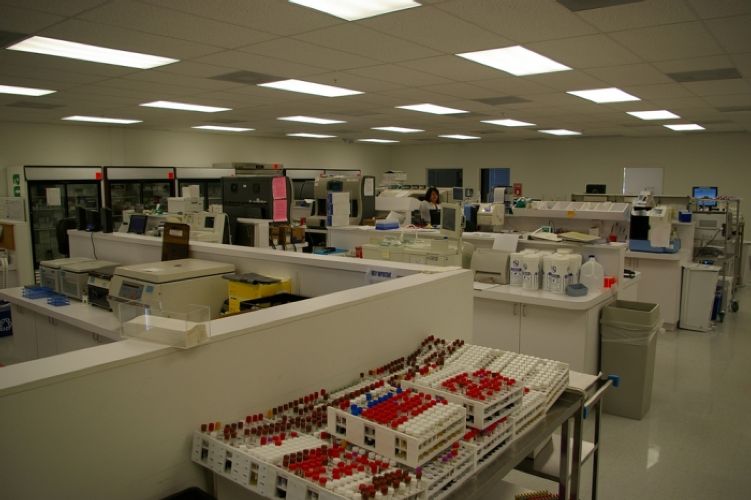 Oracle Diagnostics by in , FL ProView