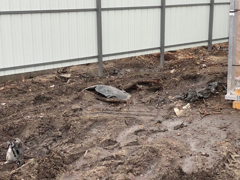 Cori gated metal fence inside view