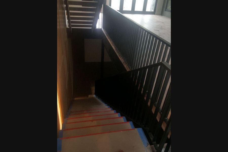 Our Services & Projects 