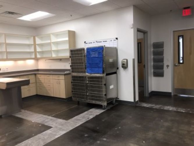 Thrive Vet Care